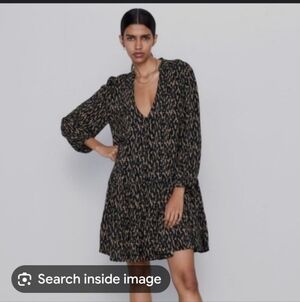 Zara The Claris Mini Dress